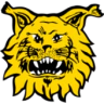 Tampereen Ilves